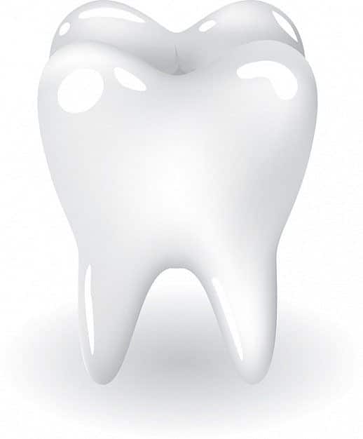 dientes-molares