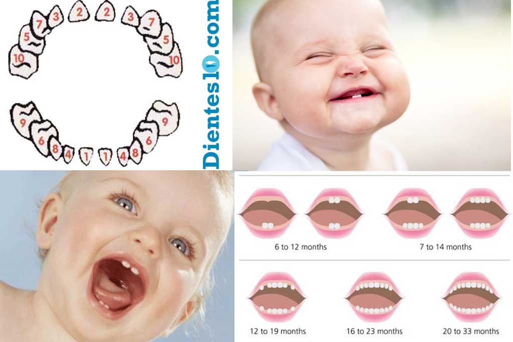 primeros-dientes-bebe