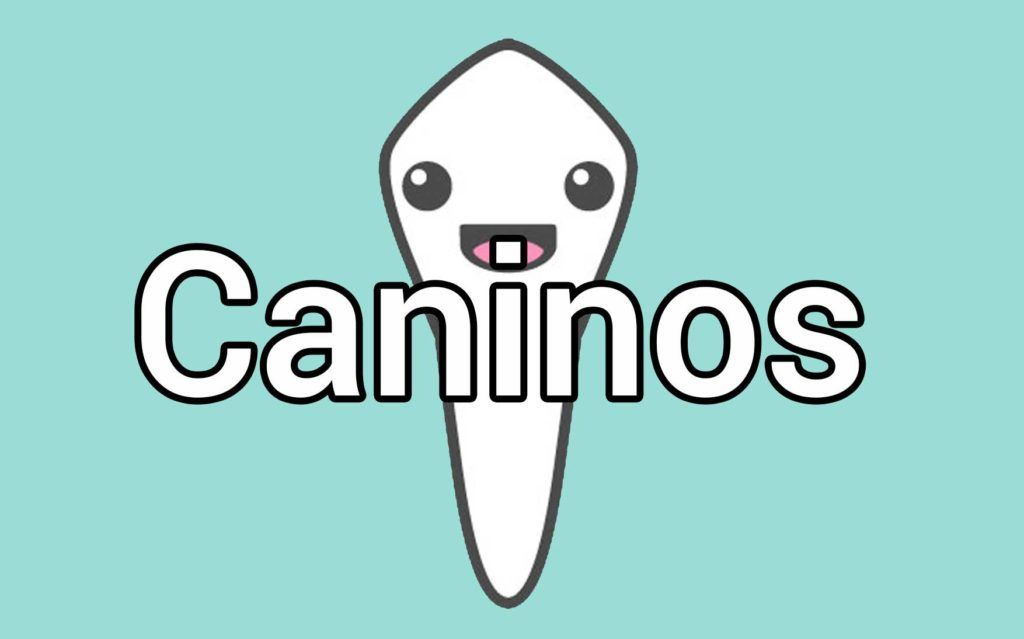 dientes-caninos