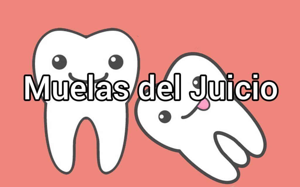 muelas-del-juicio