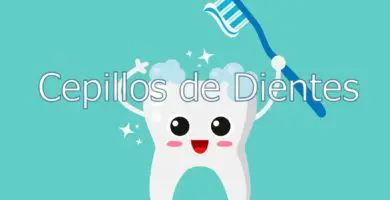 cepillos-de-dientes