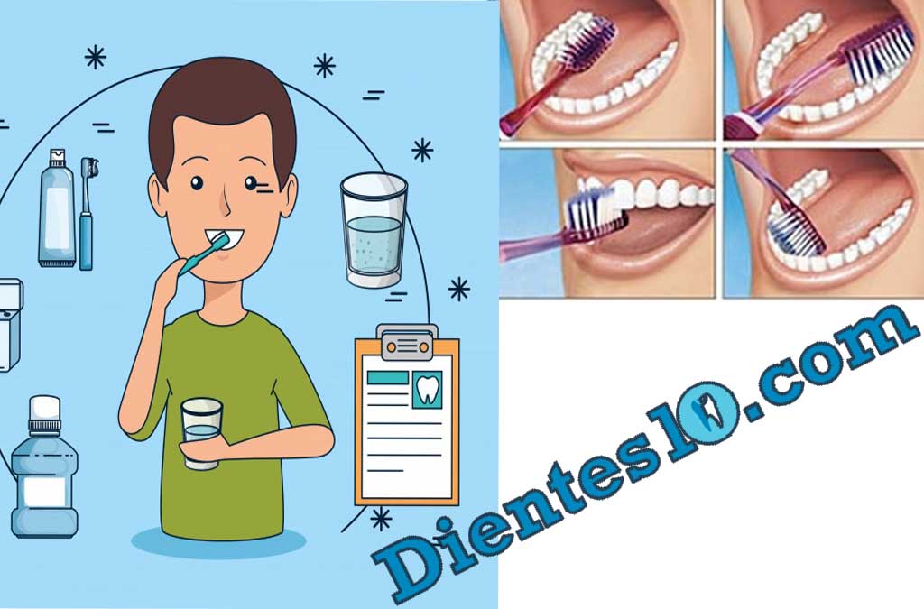 tecnica-de-bass-cepillado-dental