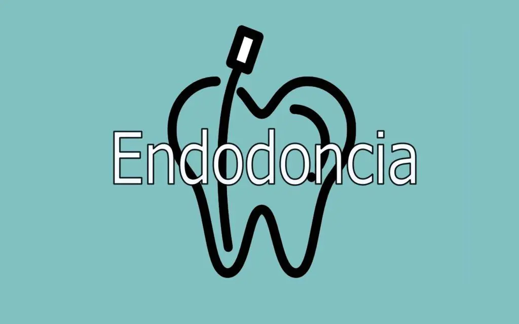 Endodoncia 1 endodoncia