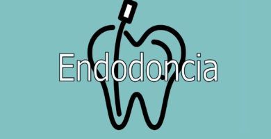 endodoncia