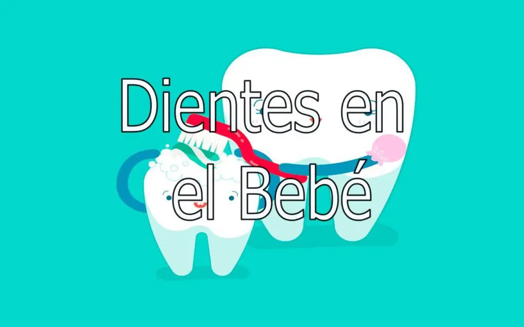 Dientes en el Bebé 1 Dientes en el Bebé 1