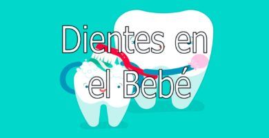 Dientes en el Bebé 3